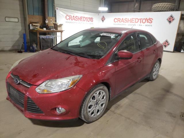 Photo 1 VIN: 1FAHP3F29CL446326 - FORD FOCUS SE 