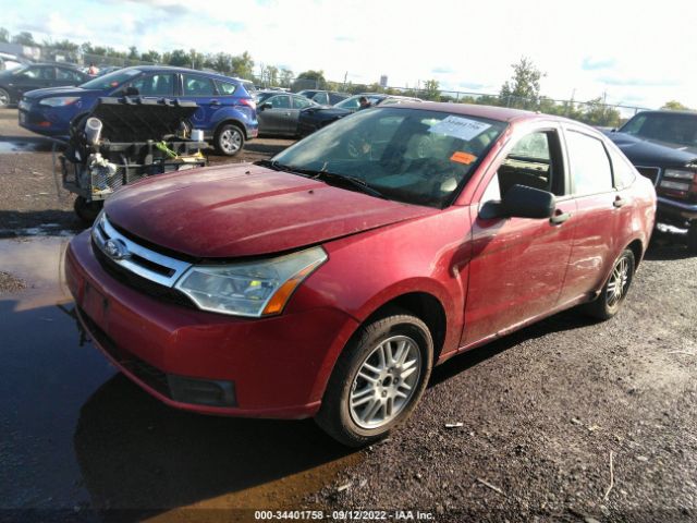 Photo 1 VIN: 1FAHP3FN8BW162256 - FORD FOCUS SE 