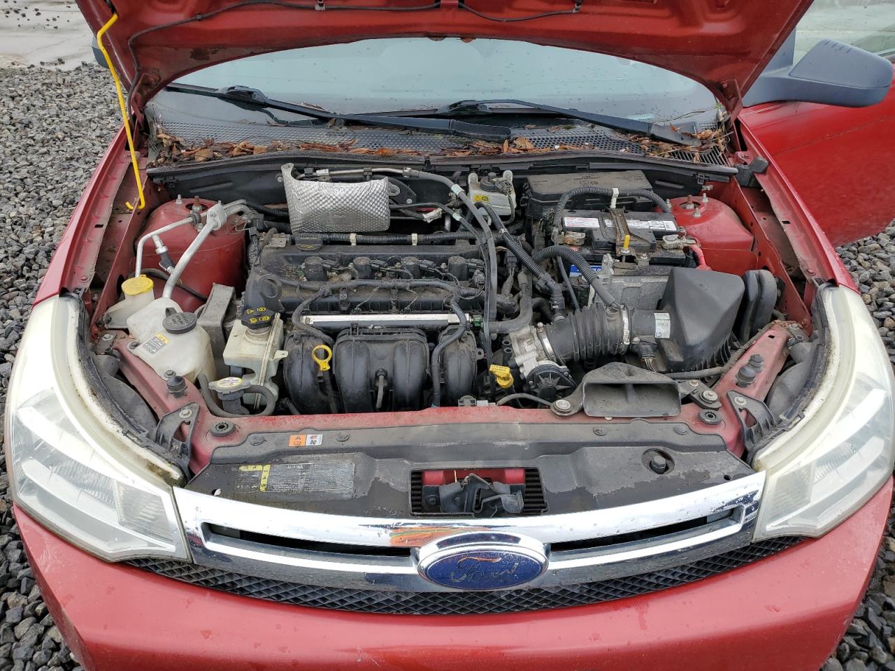 Photo 10 VIN: 1FAHP3FNXAW114417 - FORD FOCUS 