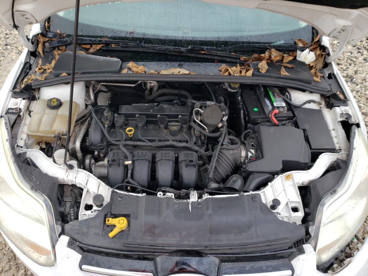 Photo 10 VIN: 1FAHP3H23CL169427 - FORD FOCUS 