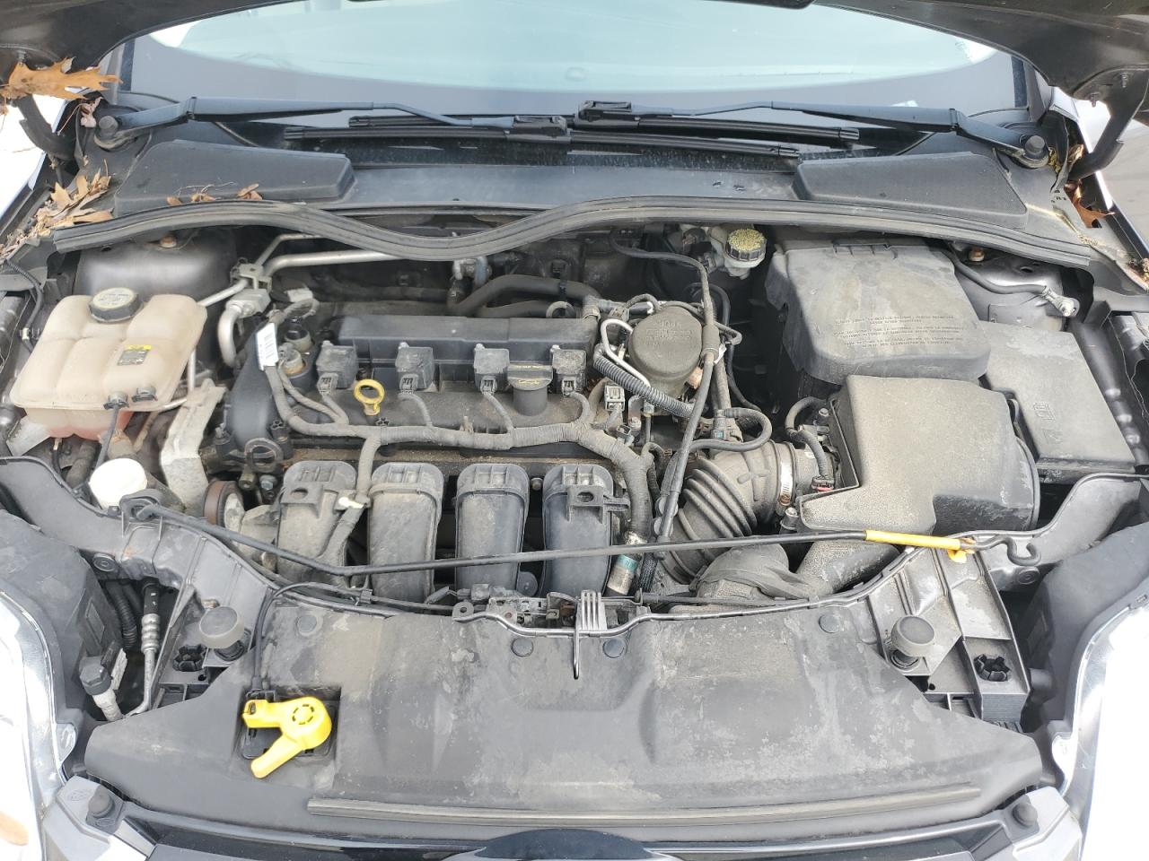 Photo 10 VIN: 1FAHP3H23CL385441 - FORD FOCUS 