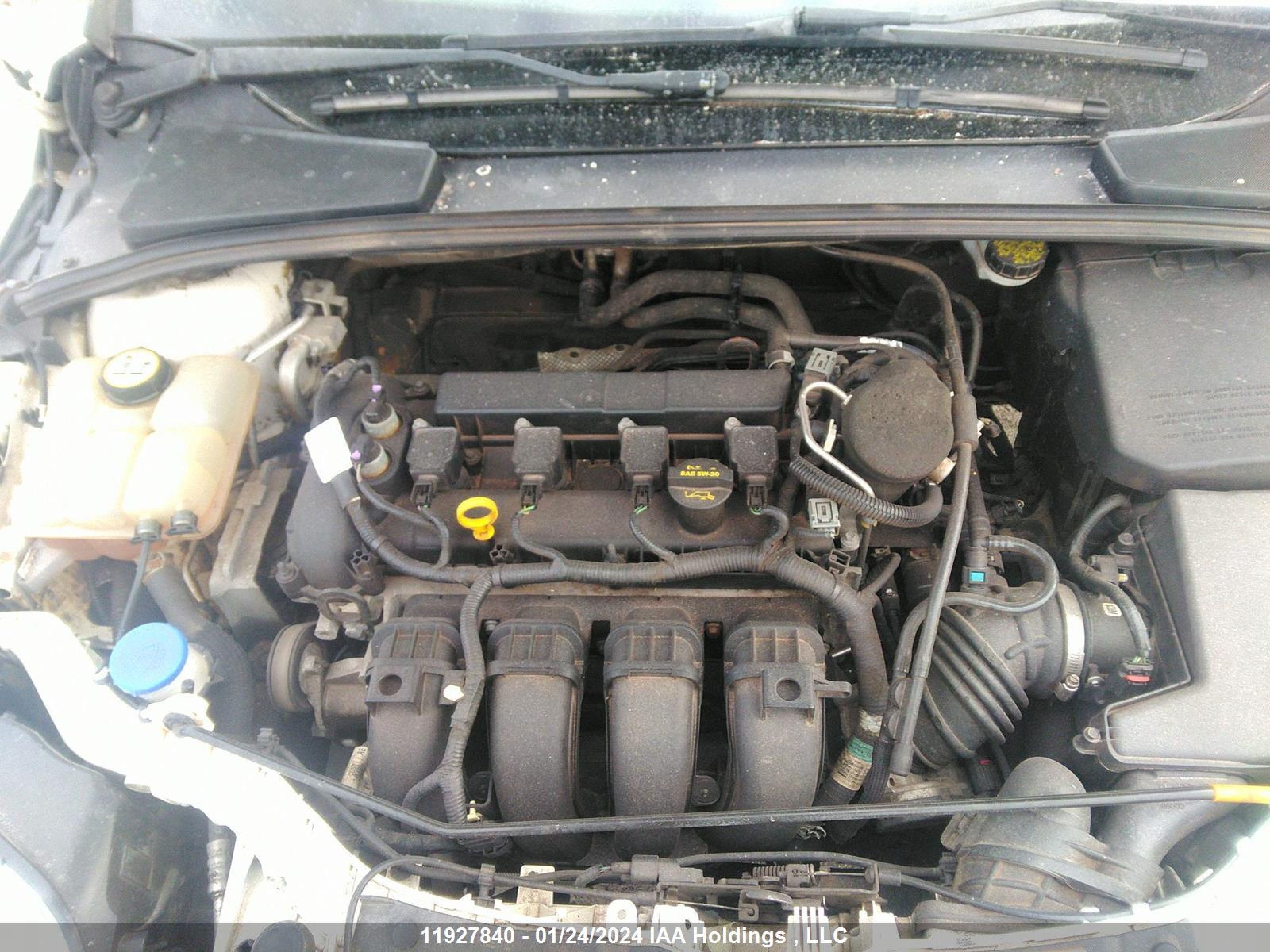 Photo 9 VIN: 1FAHP3H25CL438267 - FORD FOCUS 