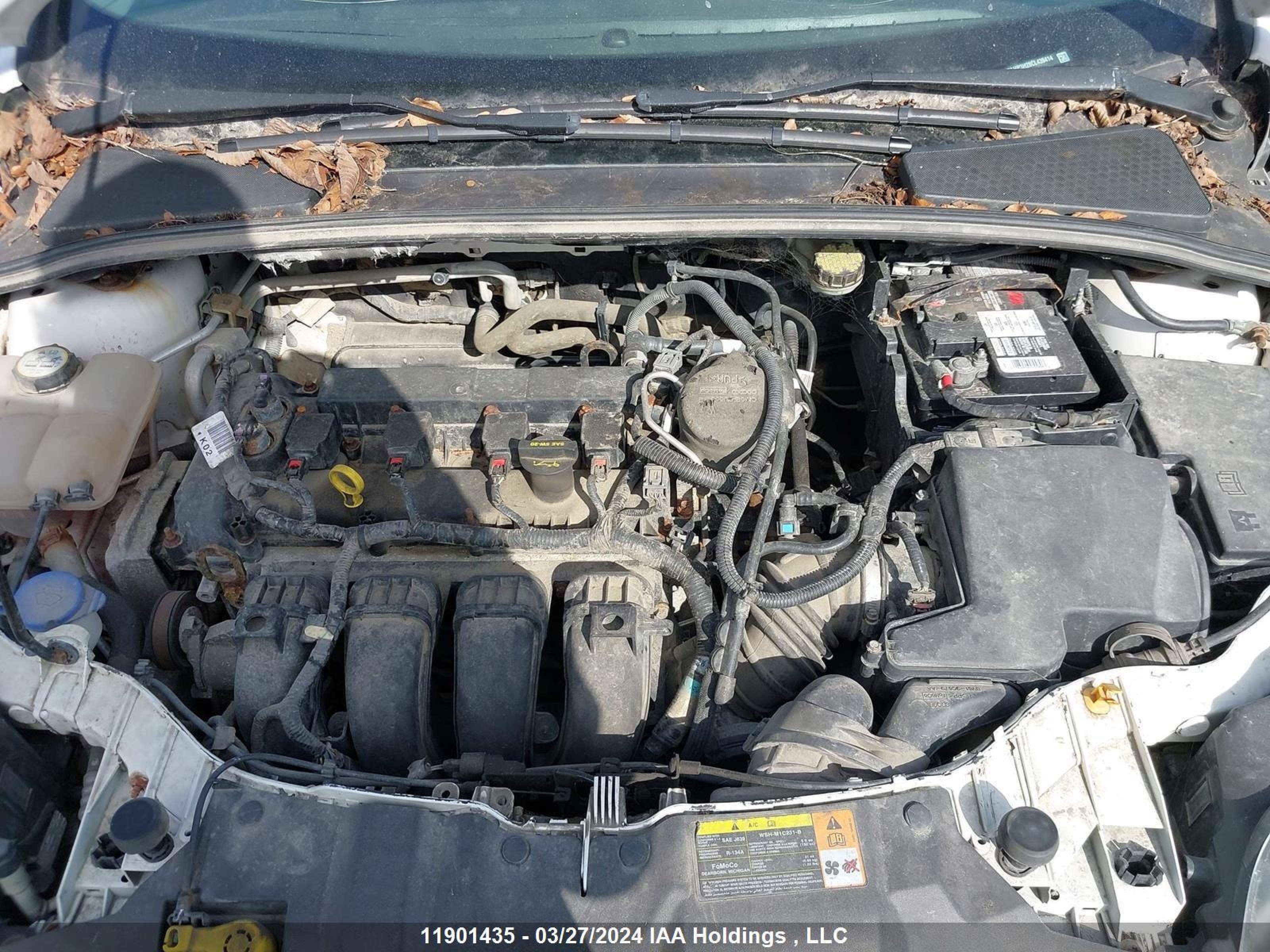 Photo 9 VIN: 1FAHP3H28CL439414 - FORD FOCUS 