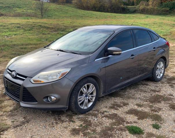 Photo 1 VIN: 1FAHP3H29CL250495 - FORD FOCUS SEL 