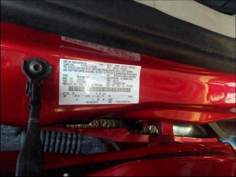 Photo 9 VIN: 1FAHP3H29CL462684 - FORD FOCUS SEL 