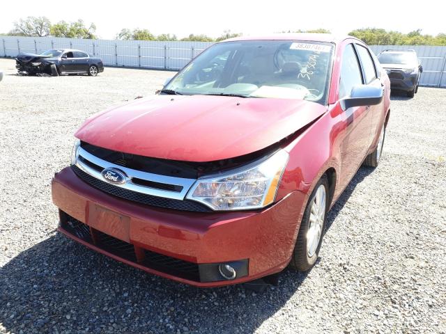 Photo 1 VIN: 1FAHP3HN1BW103921 - FORD FOCUS SEL 