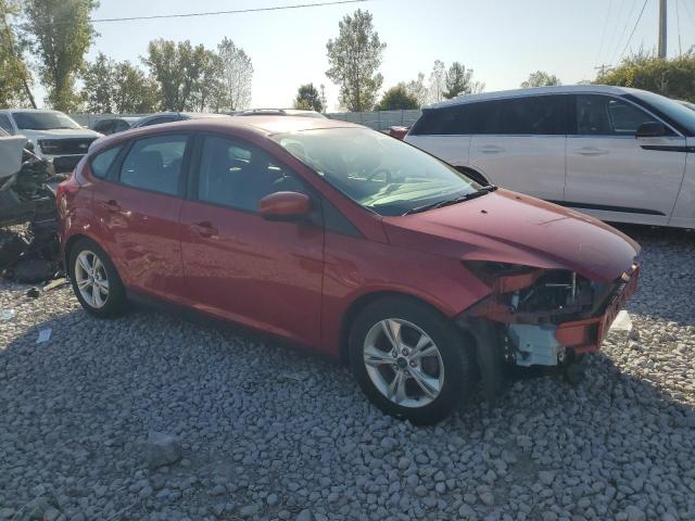 Photo 3 VIN: 1FAHP3K24CL323670 - FORD FOCUS SE 