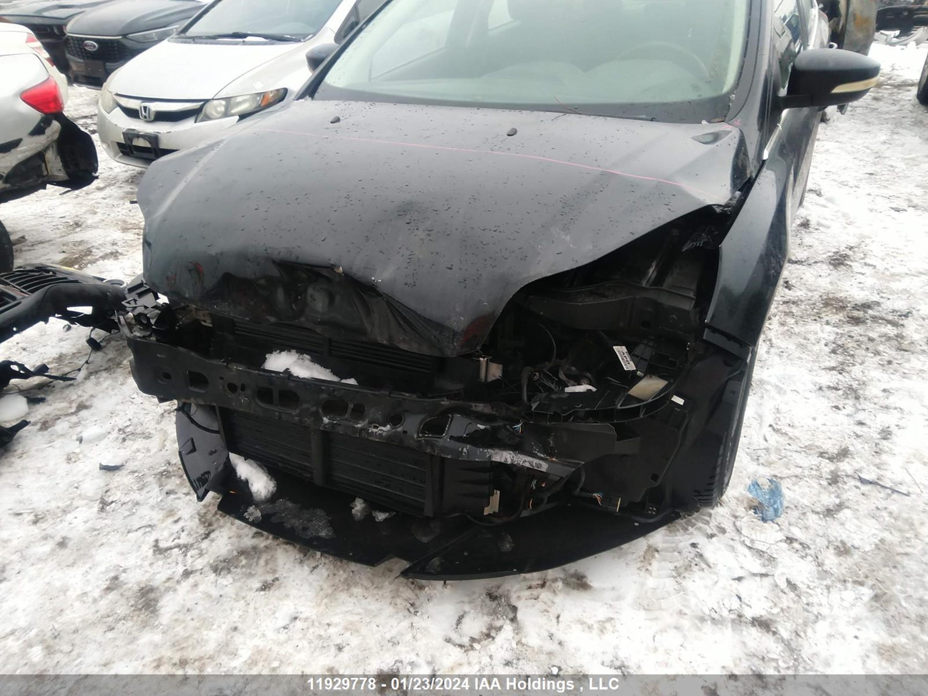 Photo 5 VIN: 1FAHP3N23CL383452 - FORD FOCUS 