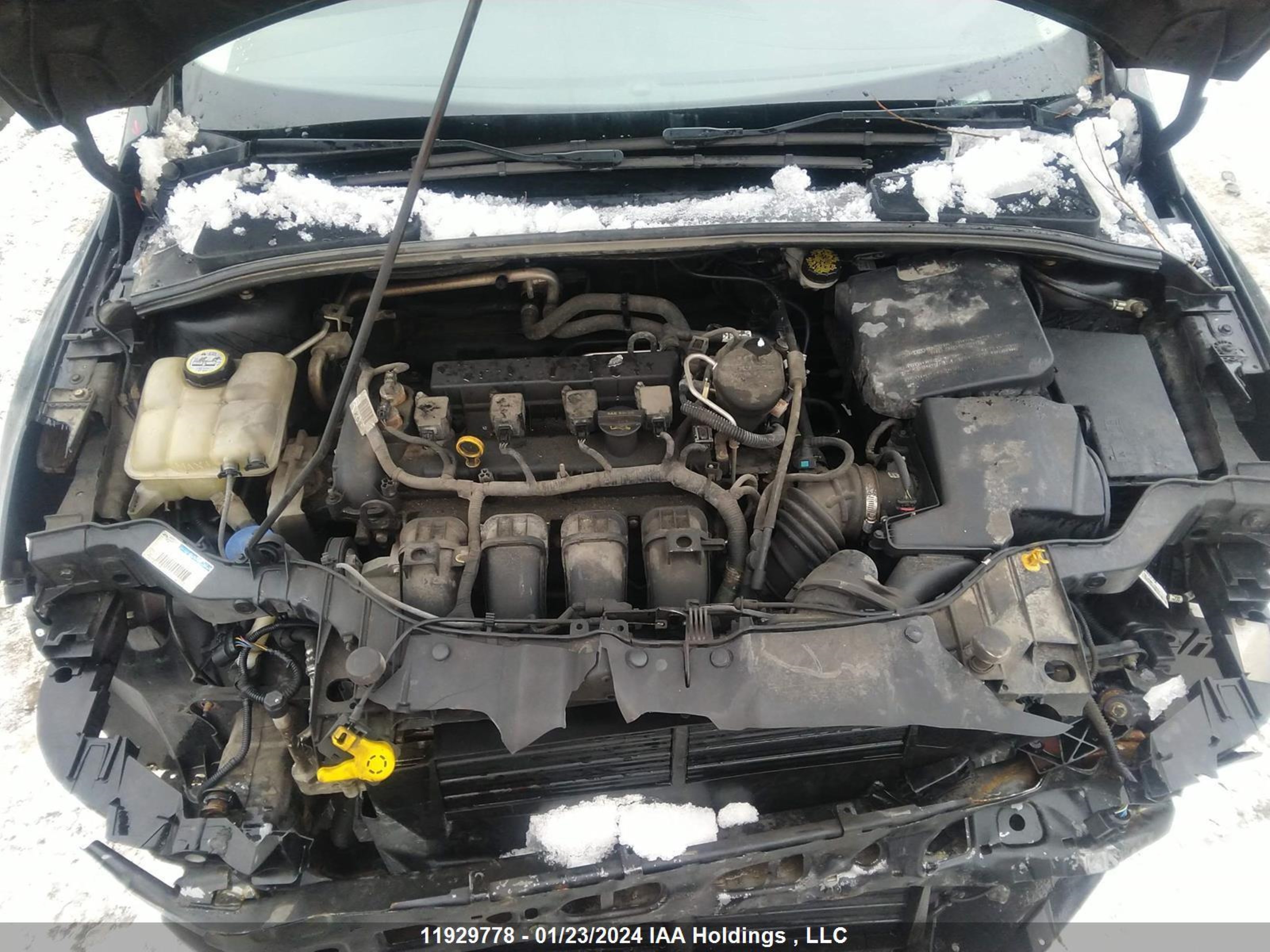 Photo 9 VIN: 1FAHP3N23CL383452 - FORD FOCUS 