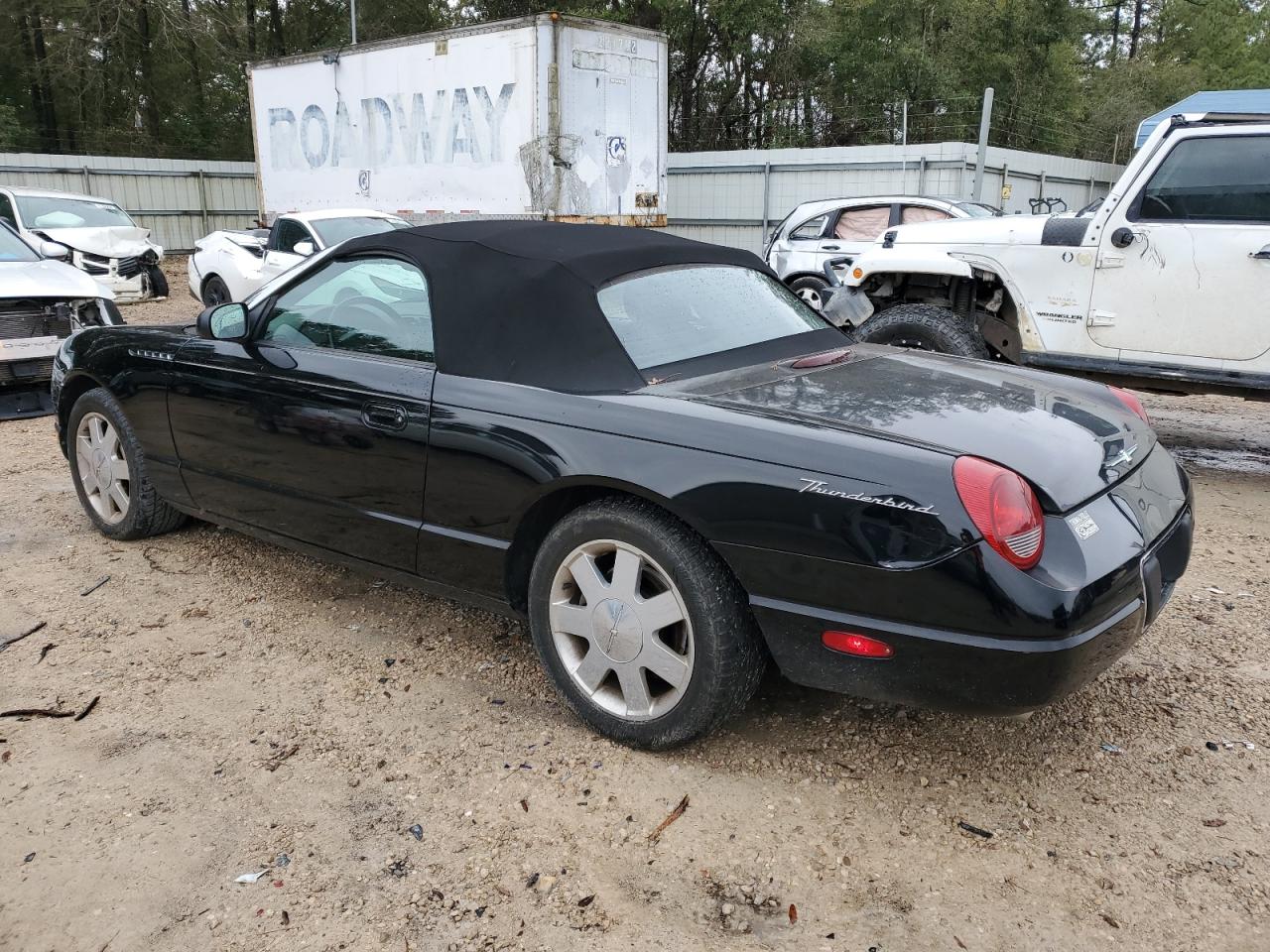 Photo 1 VIN: 1FAHP60A02Y119056 - FORD THUNDERBIRD 