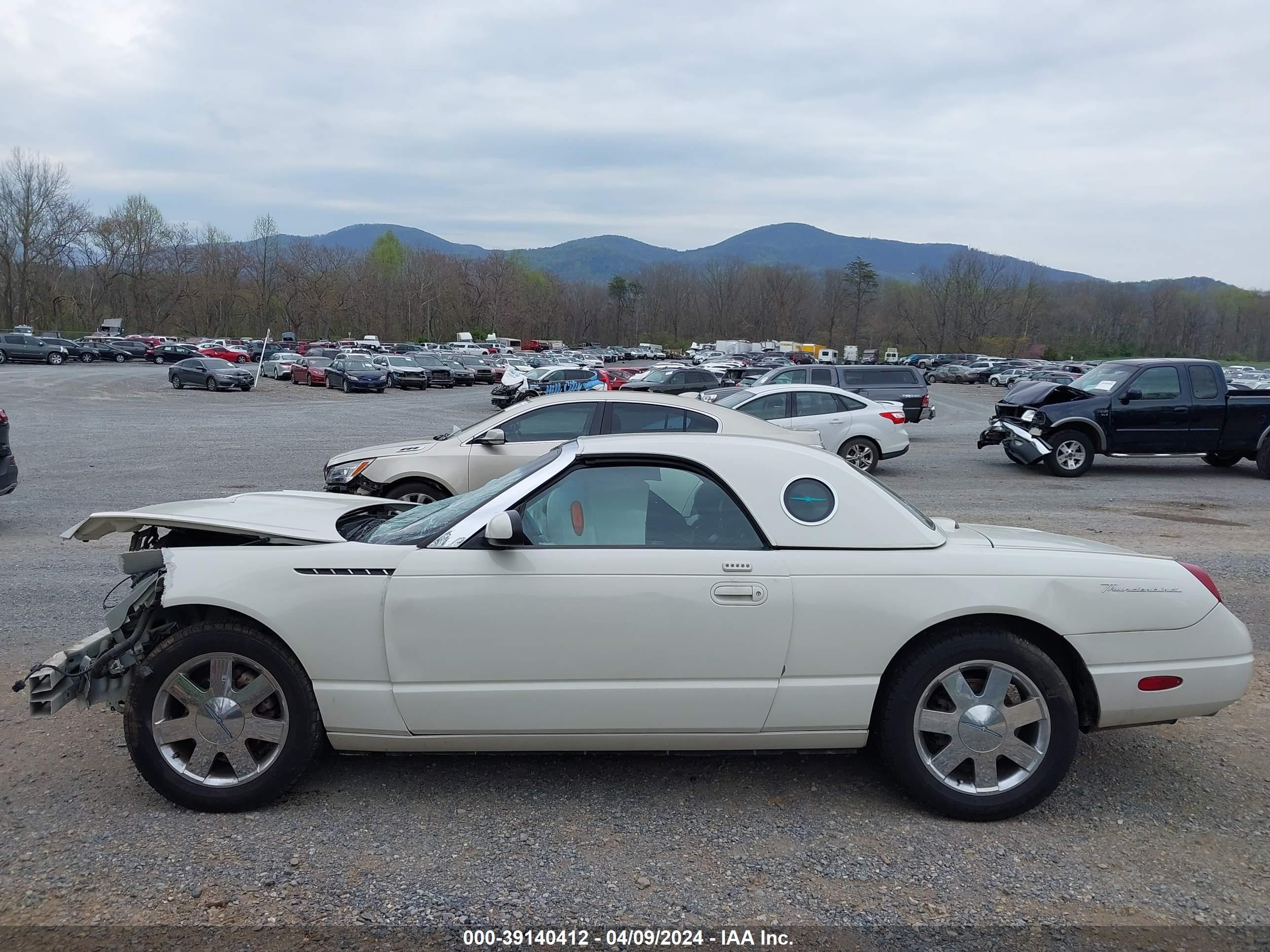 Photo 14 VIN: 1FAHP60A42Y101191 - FORD THUNDERBIRD 