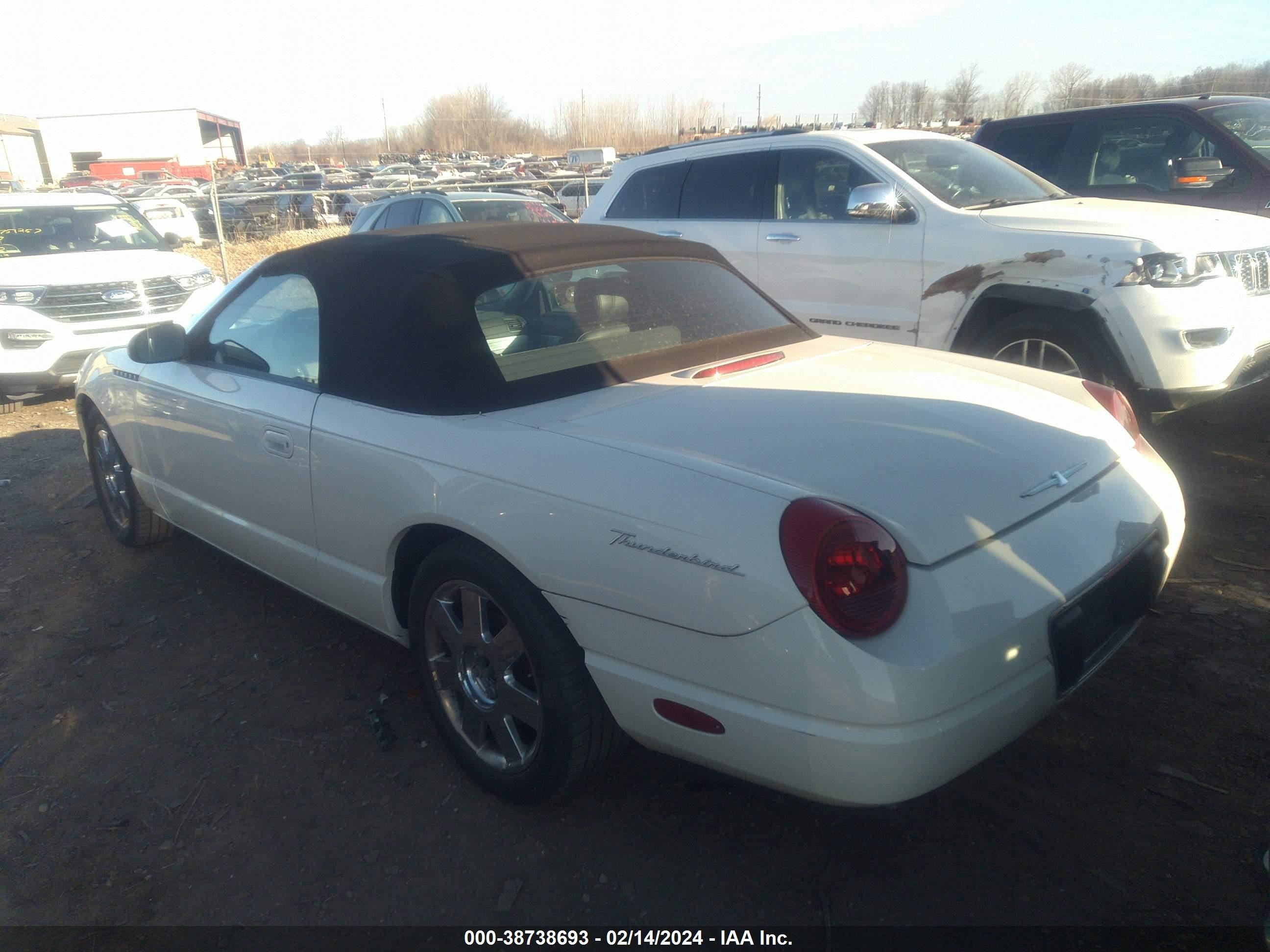 Photo 2 VIN: 1FAHP60A62Y118431 - FORD THUNDERBIRD 