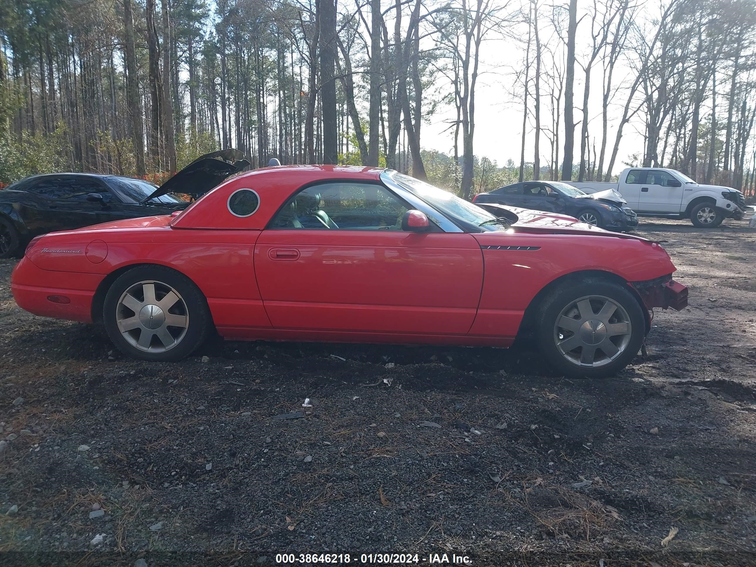 Photo 12 VIN: 1FAHP60A92Y125647 - FORD THUNDERBIRD 