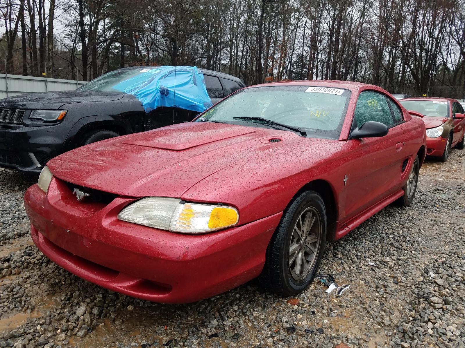 Photo 1 VIN: 1FALP4046SF231140 - FORD MUSTANG 