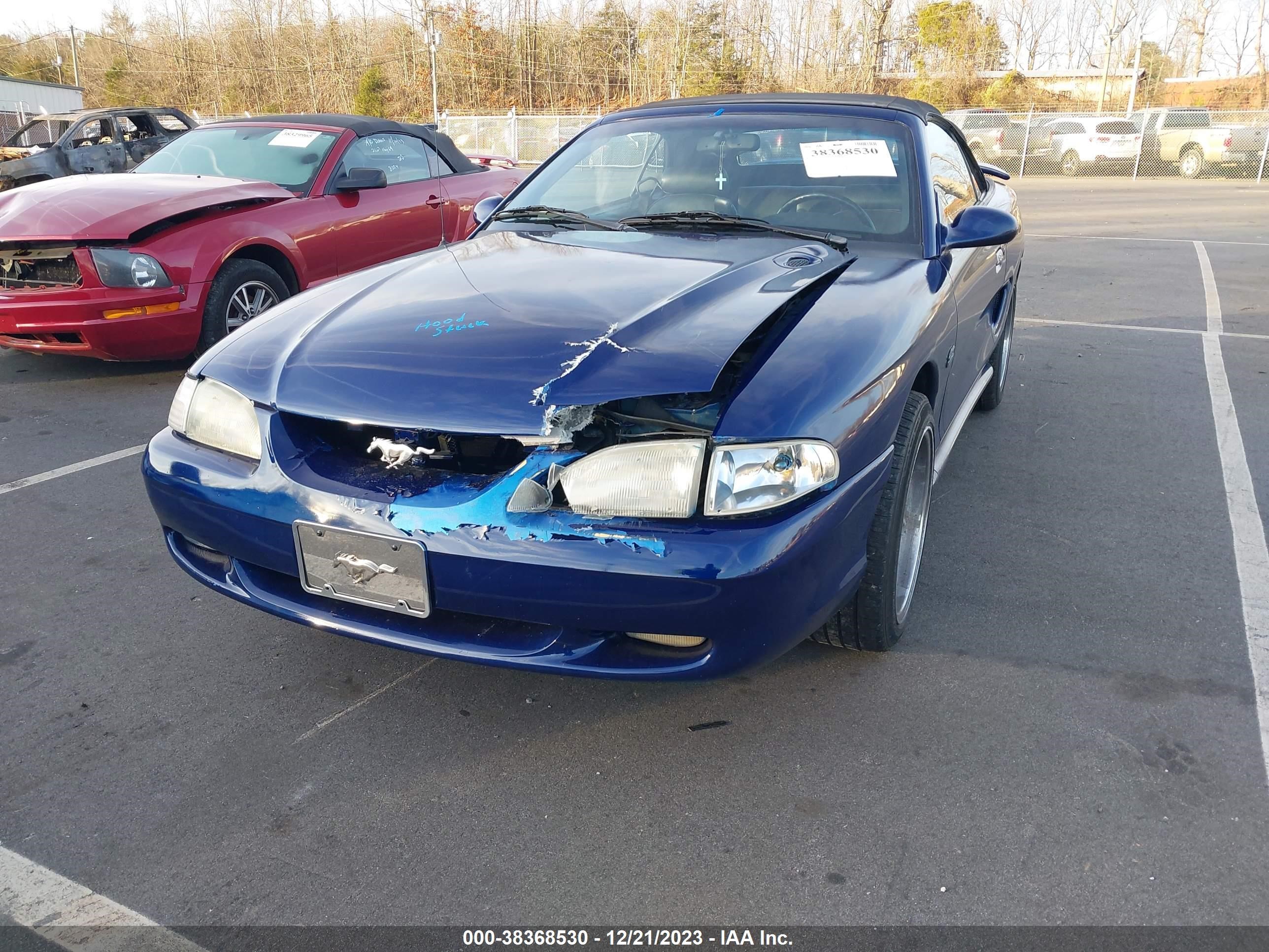 Photo 5 VIN: 1FALP45T6RF173010 - FORD MUSTANG 