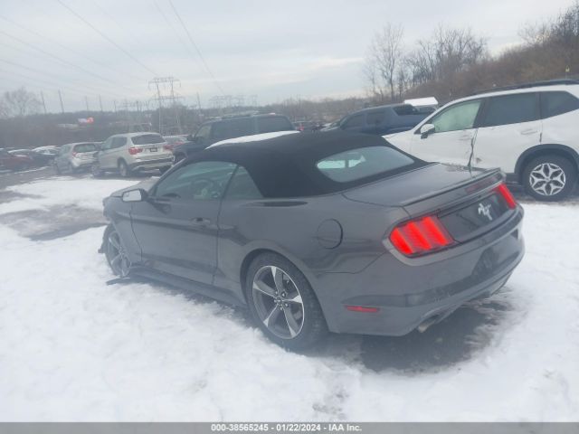 Photo 2 VIN: 1FATP8EM1F5377604 - FORD MUSTANG 