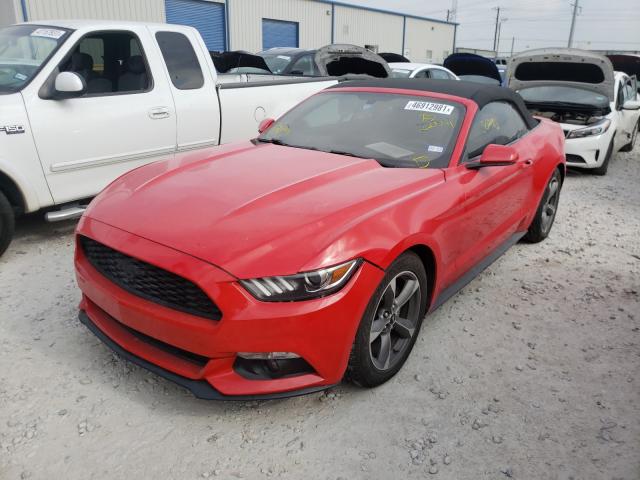 Photo 1 VIN: 1FATP8EM1G5220091 - FORD MUSTANG 