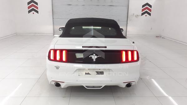 Photo 13 VIN: 1FATP8EM5G5298440 - FORD MUSTANG 