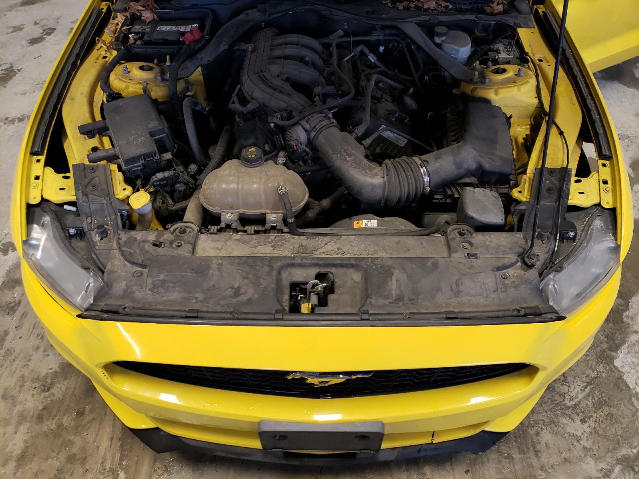 Photo 10 VIN: 1FATP8EM6G5304875 - FORD MUSTANG 