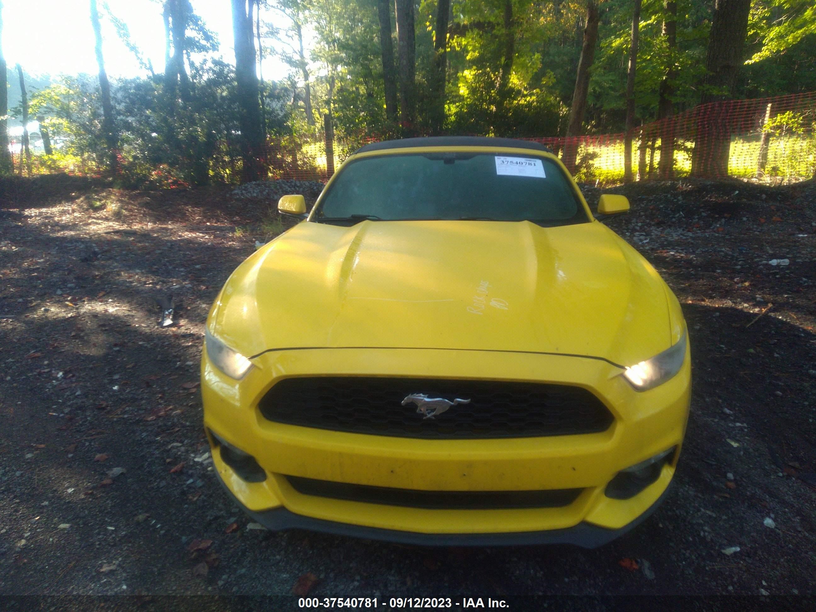 Photo 11 VIN: 1FATP8EM7F5333574 - FORD MUSTANG 