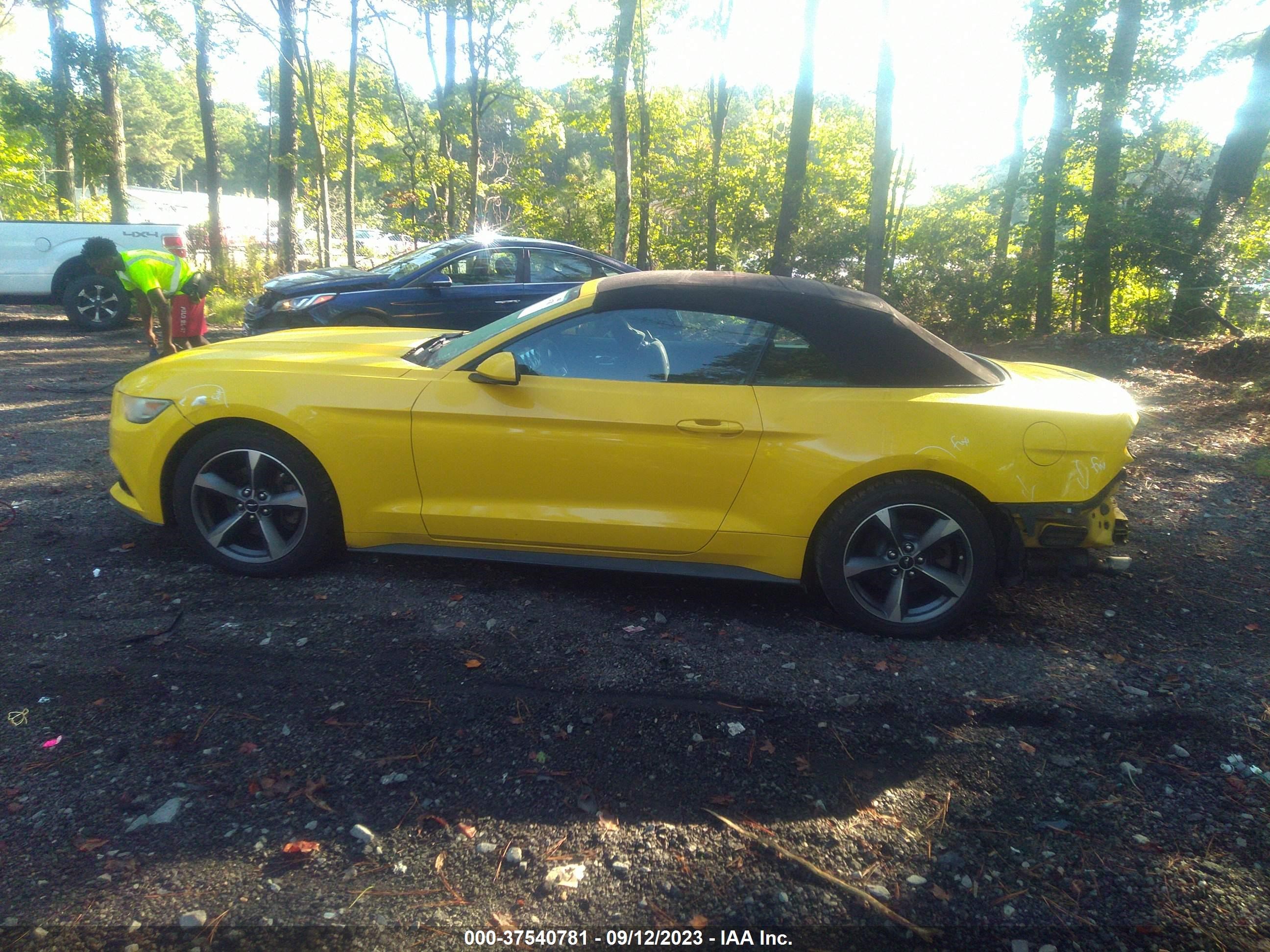 Photo 13 VIN: 1FATP8EM7F5333574 - FORD MUSTANG 