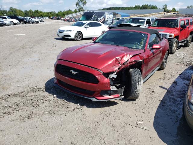 Photo 1 VIN: 1FATP8EMXF5371672 - FORD MUSTANG 