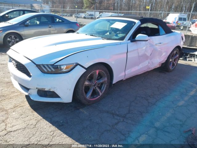 Photo 1 VIN: 1FATP8EMXG5291483 - FORD MUSTANG 