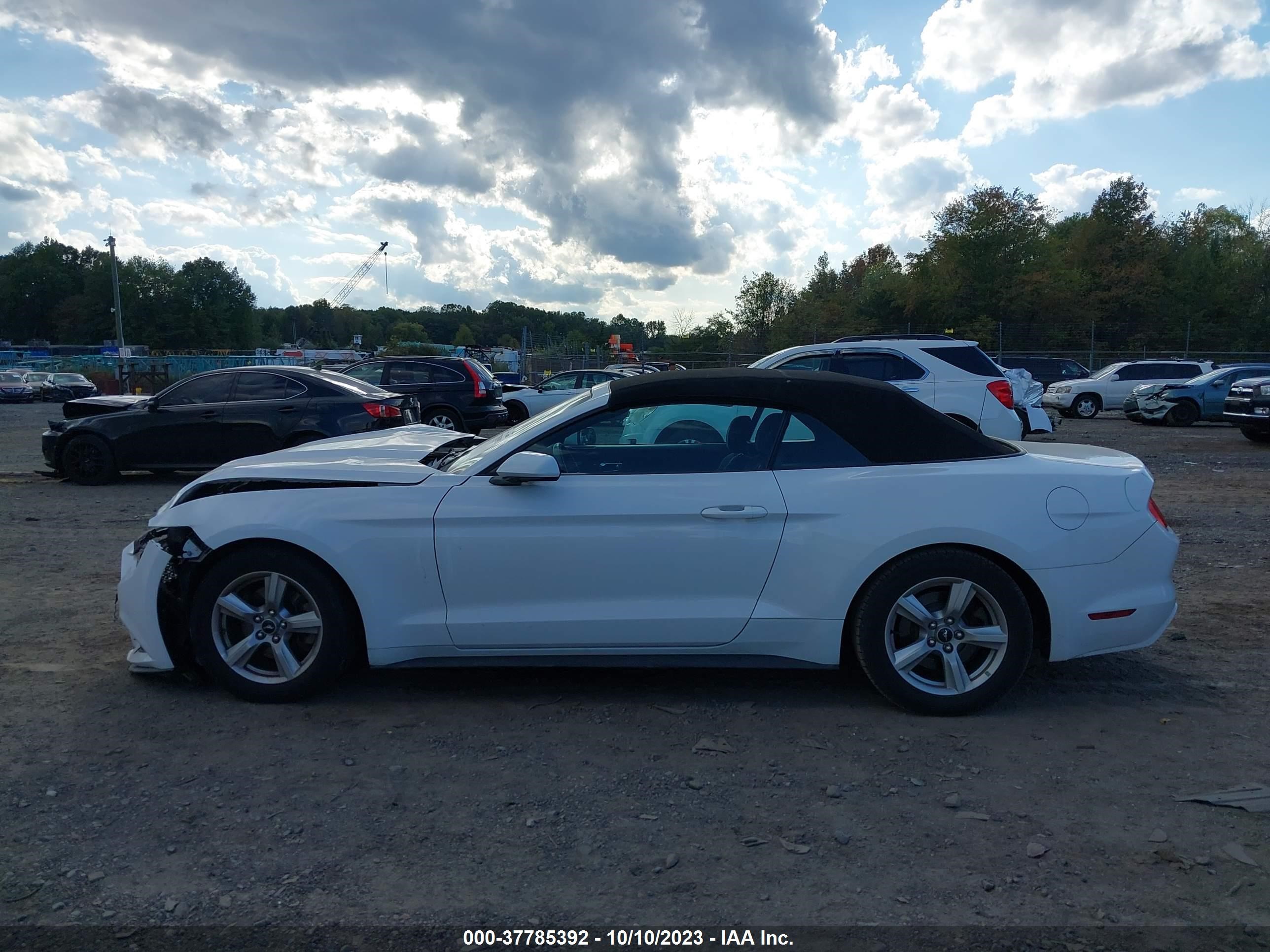 Photo 13 VIN: 1FATP8EMXG5306998 - FORD MUSTANG 