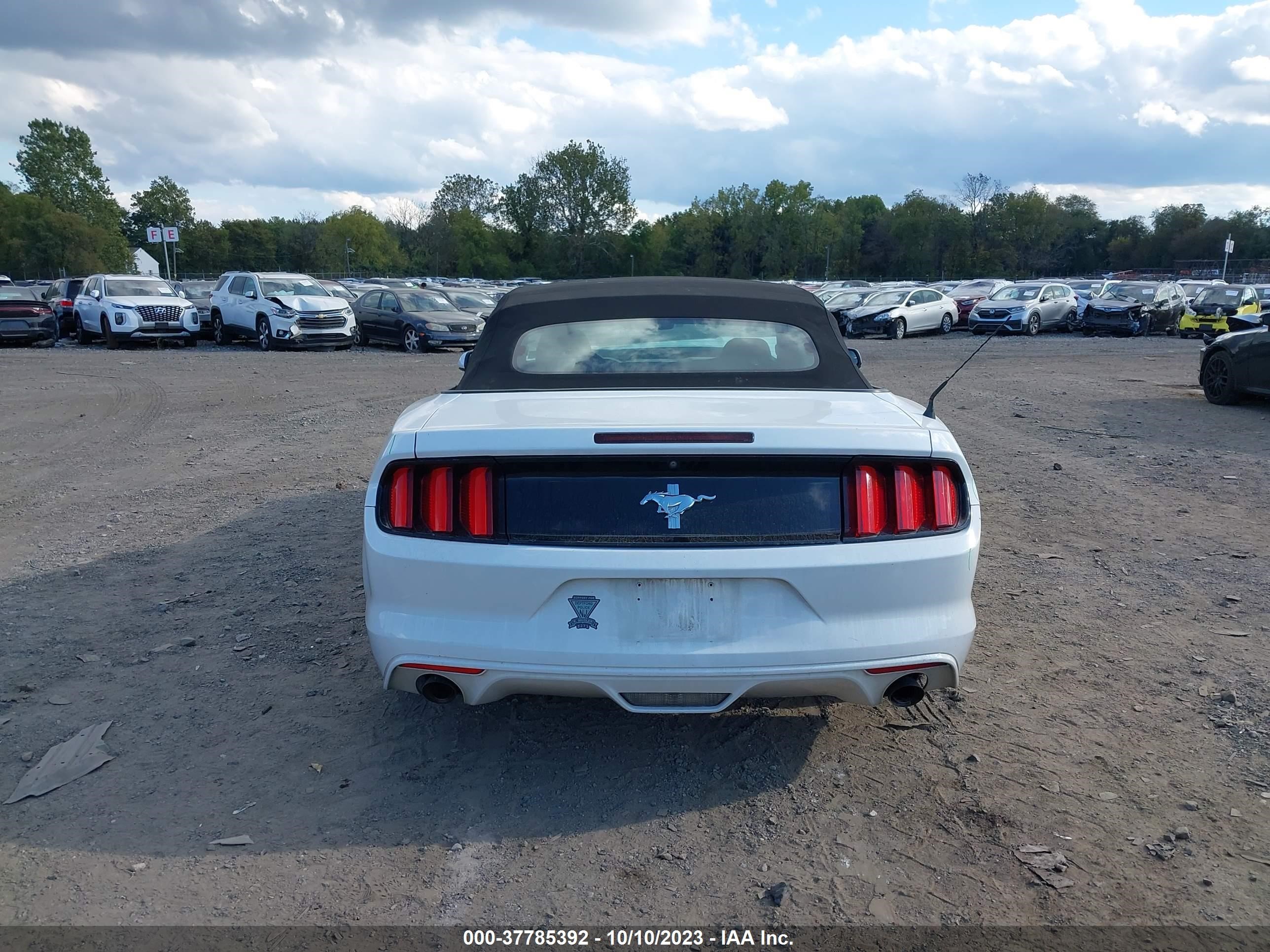 Photo 15 VIN: 1FATP8EMXG5306998 - FORD MUSTANG 