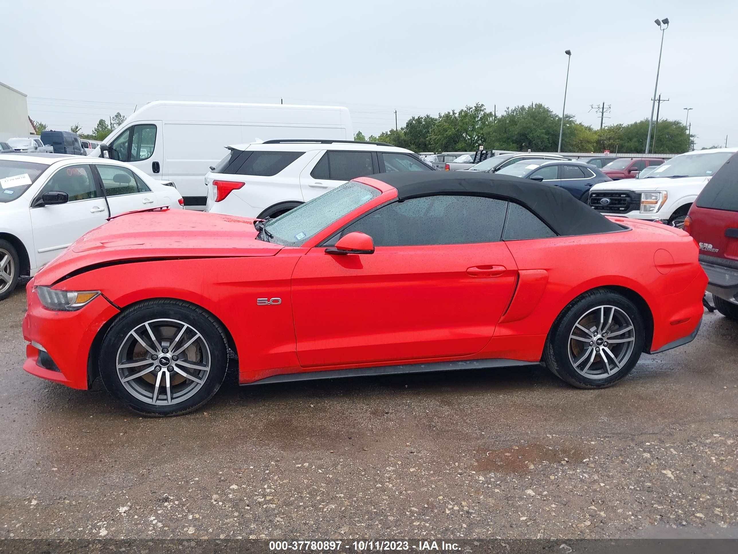 Photo 13 VIN: 1FATP8FF5G5225293 - FORD MUSTANG 