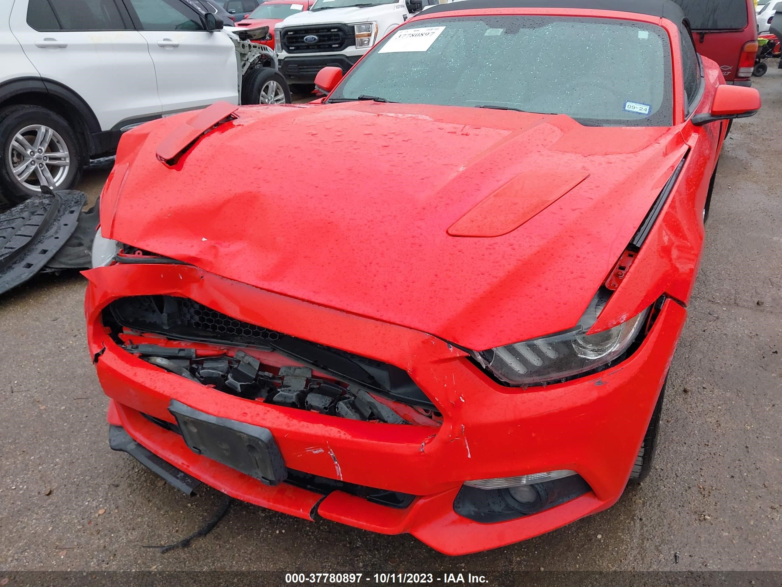 Photo 5 VIN: 1FATP8FF5G5225293 - FORD MUSTANG 