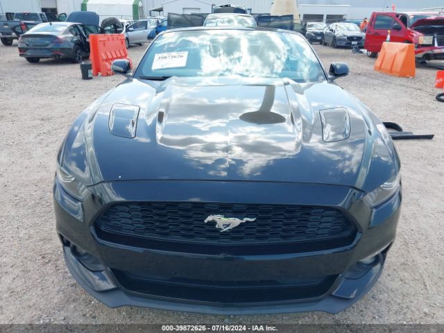 Photo 5 VIN: 1FATP8FF9H5273543 - FORD MUSTANG 