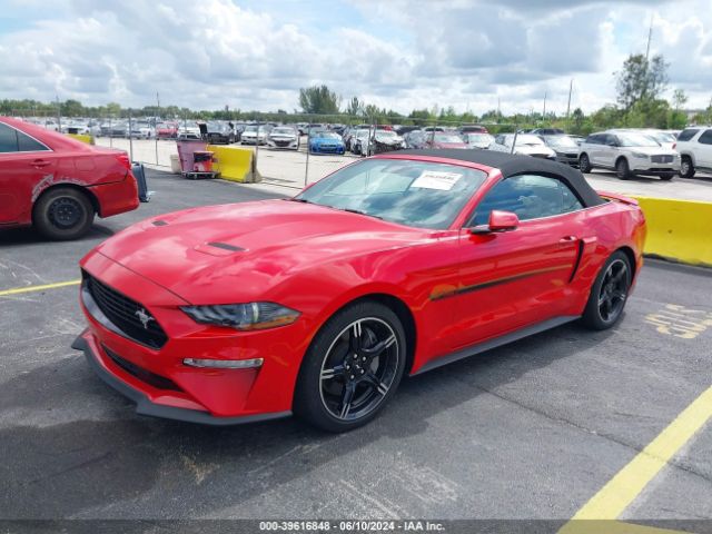 Photo 1 VIN: 1FATP8FF9L5117821 - FORD MUSTANG 