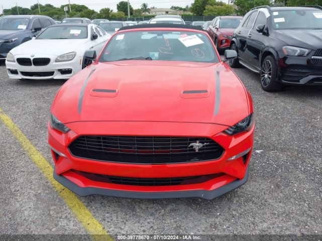 Photo 5 VIN: 1FATP8UD6L5168873 - FORD MUSTANG 