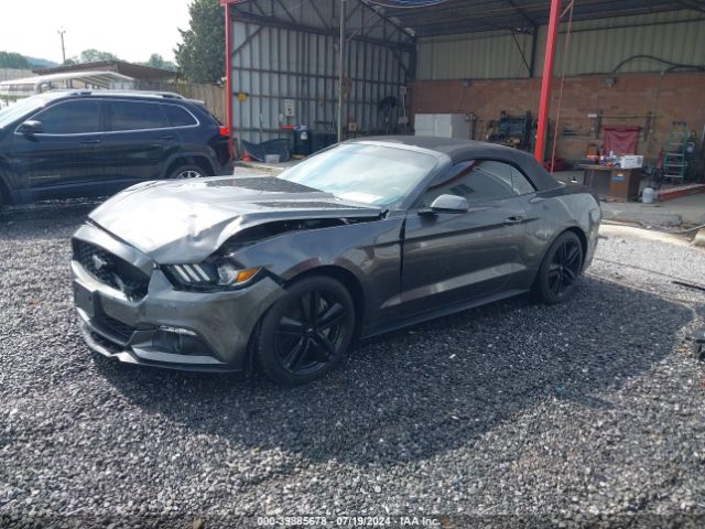 Photo 1 VIN: 1FATP8UH0F5329242 - FORD MUSTANG 