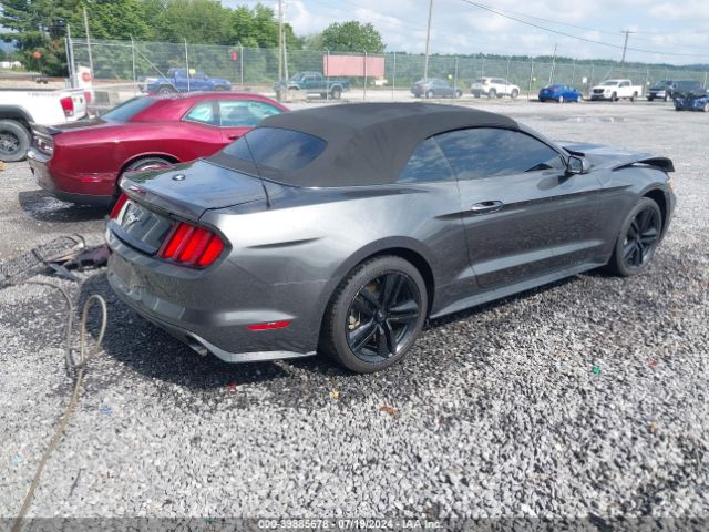 Photo 3 VIN: 1FATP8UH0F5329242 - FORD MUSTANG 