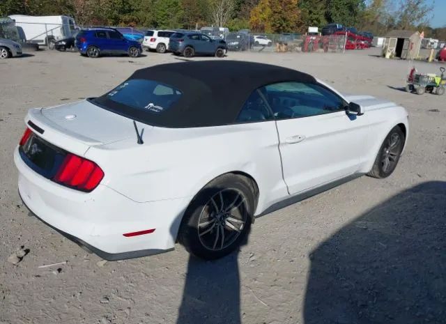 Photo 3 VIN: 1FATP8UH0F5377243 - FORD MUSTANG 