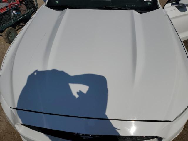 Photo 10 VIN: 1FATP8UH0G5216893 - FORD MUSTANG 