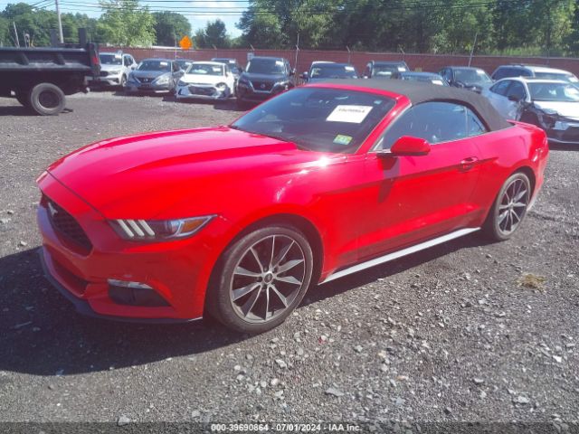 Photo 1 VIN: 1FATP8UH0G5319117 - FORD MUSTANG 