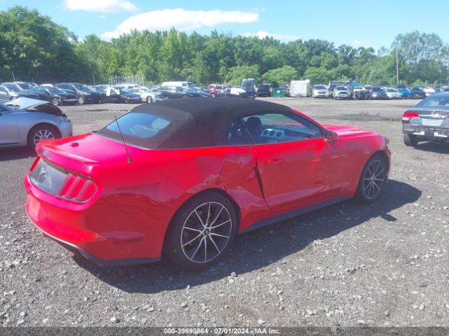 Photo 3 VIN: 1FATP8UH0G5319117 - FORD MUSTANG 