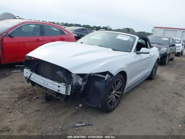 Photo 1 VIN: 1FATP8UH0H5254903 - FORD MUSTANG 