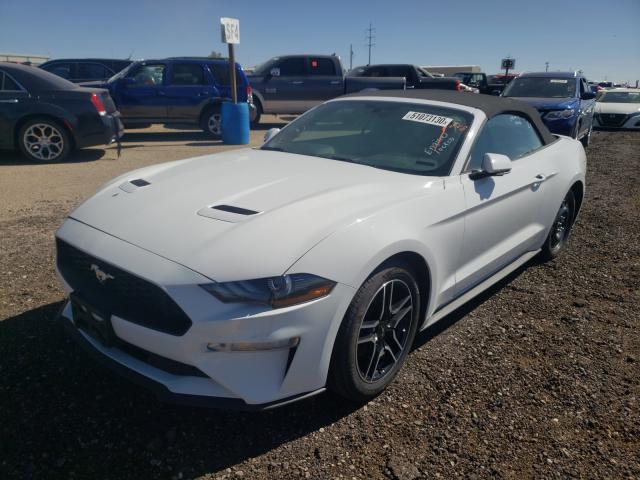 Photo 1 VIN: 1FATP8UH0J5176998 - FORD MUSTANG 