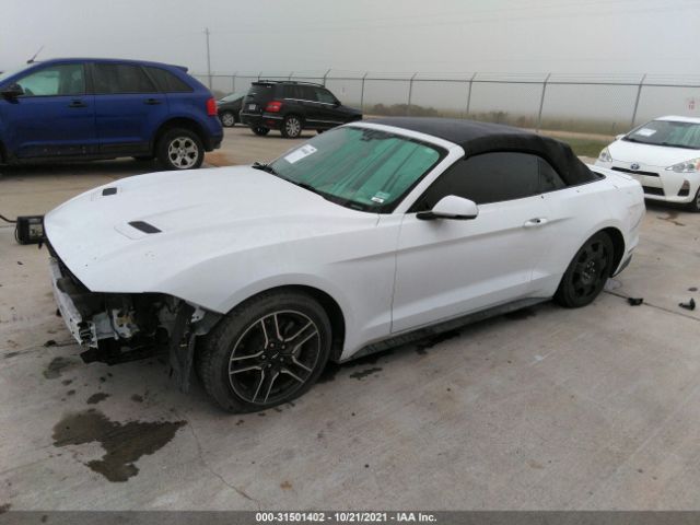 Photo 1 VIN: 1FATP8UH0K5115684 - FORD MUSTANG 