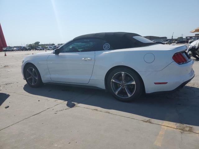 Photo 1 VIN: 1FATP8UH1F5425414 - FORD MUSTANG 