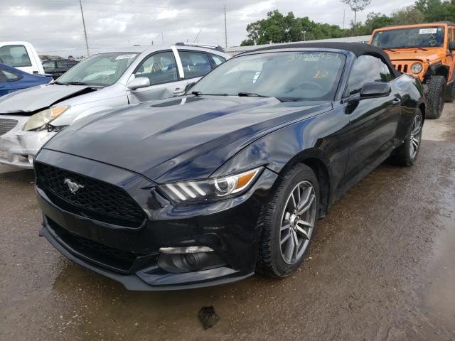 Photo 1 VIN: 1FATP8UH1G5231791 - FORD MUSTANG 