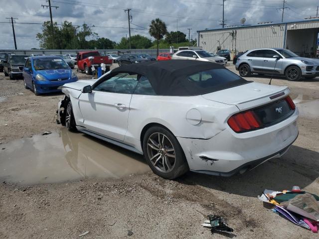 Photo 1 VIN: 1FATP8UH1G5291280 - FORD MUSTANG 