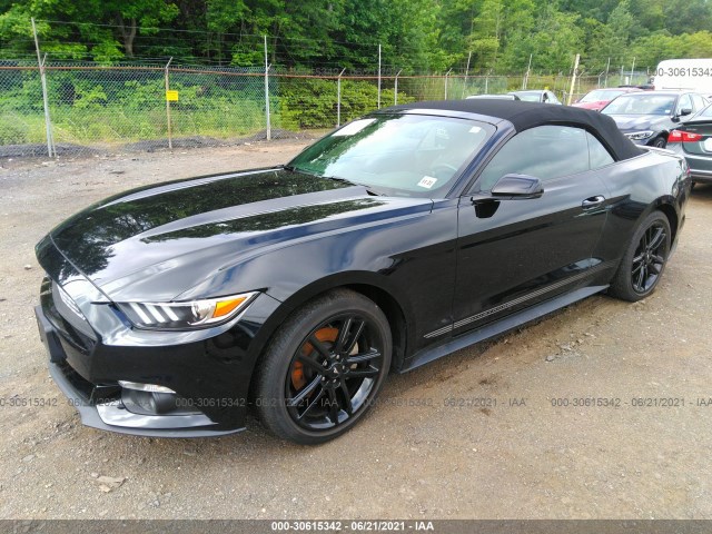 Photo 1 VIN: 1FATP8UH1G5331146 - FORD MUSTANG 