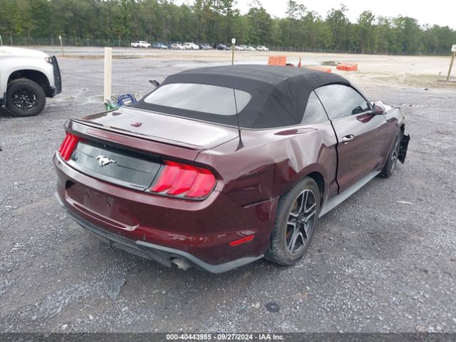 Photo 3 VIN: 1FATP8UH1J5117877 - FORD MUSTANG 