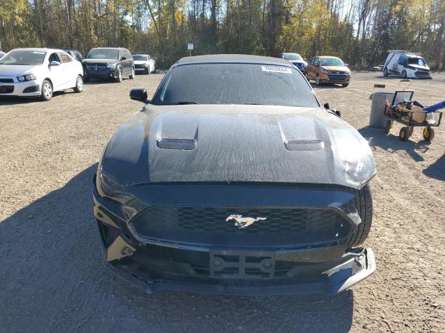 Photo 4 VIN: 1FATP8UH1K5144983 - FORD MUSTANG 