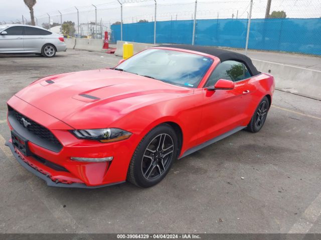 Photo 1 VIN: 1FATP8UH1K5185839 - FORD MUSTANG 